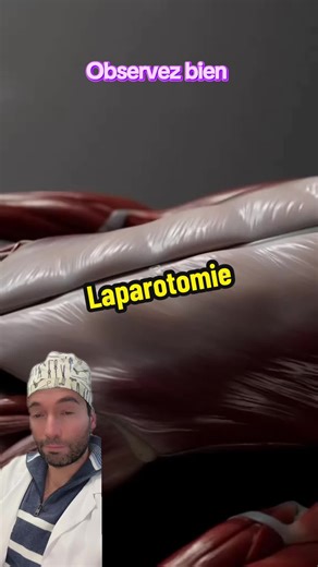 Découvrir les secrets des muscles abdominaux