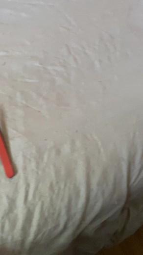 welcome to mini puzzles! Smallest puzzle ever?🧩 #fyp #fypシ #foryou #mini #small #tiny #puzzle #puzzletok #jigsawpuzzle #oddlysatisfying #viral #fun #halloween #spooky #puzzlecomplete #puzzlepleaser #puzzlefun #puzzlechallenge #tweezers #relaxing #keepitsimple