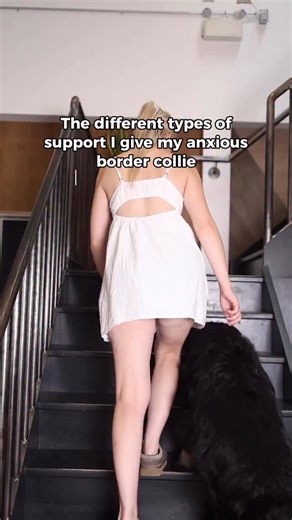 2.6K views · 32 reactions | Supporting a dog with anxiety means...