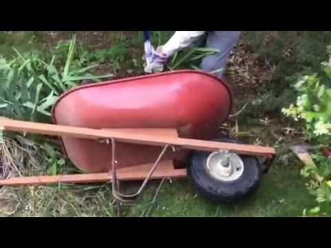 How to Transplant Yucca Plant! Episode 4