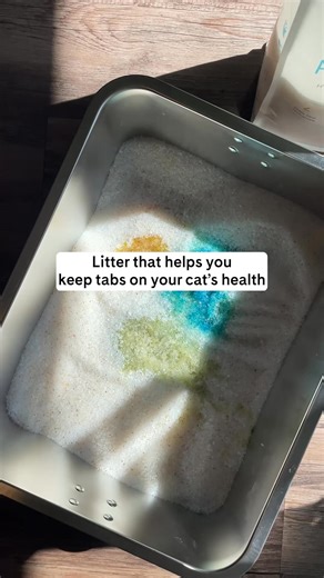 PrettyLitter is the fan-favorite litter that keeps homes fresh and cats healthy 🐱 See what all the buzz is about! | PrettyLitter