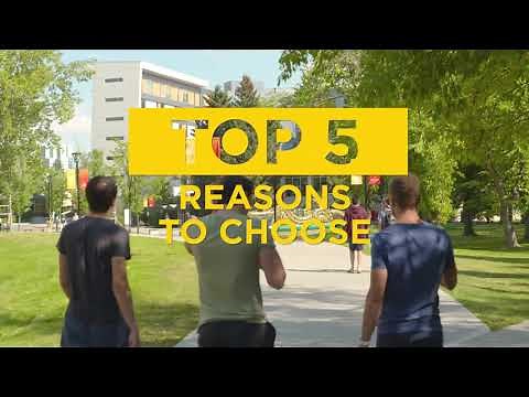 5 Reasons to Choose UCalgary