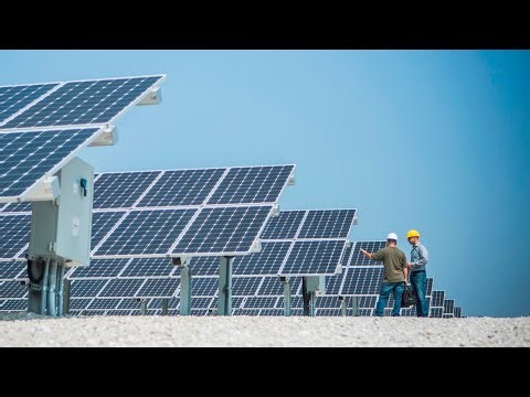 Australian Dairy Farmers Association warns renewable energy must not impact food security