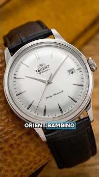 The Perfect Watch - Orient Bambino!