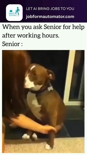 Jobform Automator on Instagram: "When you ask a senior for help after working hours… Senior: seen at 6:01 PM 😭😂 👉 Created by Jobform Automator – Ai tool that saves time by automating job forms and applications. Check it out here website: www.jobformautomator.com Join Us WhatsApp community: https://chat.whatsapp.com/Ibwbi3frtKJBYgprRq66Mz?mode=wwt #funny #memes #comedy #instadaily #tatasierra Disclaimer: Credit to the original creator. I don’t own the rights to this content. Shared for enterta