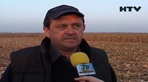 17K views · 136 reactions | 20 éve történt: A kukorica-betakarításról… 2005. november | Hajdúnánási Televízió | Facebook
