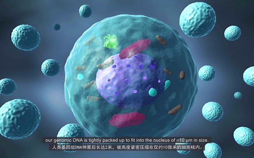 “动”察视界 | 李海涛教授团队--Decoding the Histone