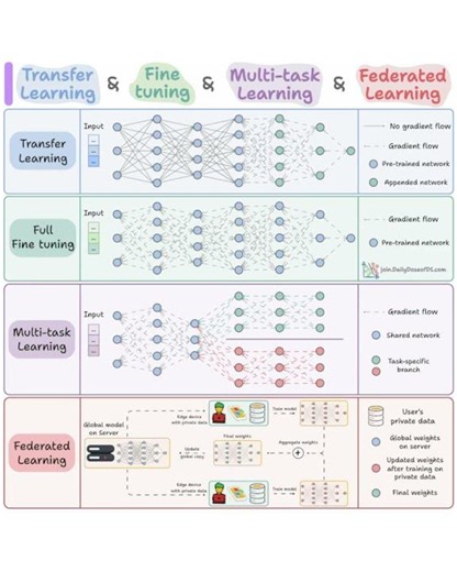 Transfer Learning vs Fine-tuning vs Multitask vs Federated Learning