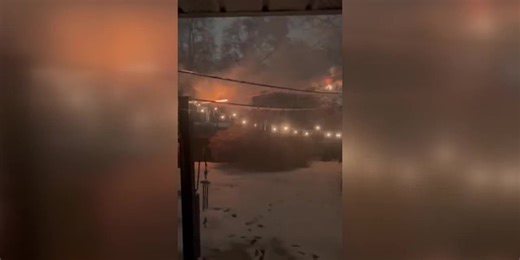 Icy tree falls into pool, catches fire as powerline pops