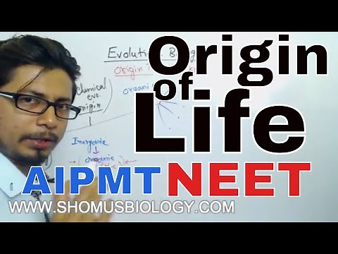 Origin of life class 12 biology | CBSE Biology for NEET exam