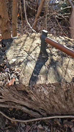 Christopher "CJ" Jagel on Instagram: "this pack was actually kinda nuts #magic #magicthegathering #mtg #edh"