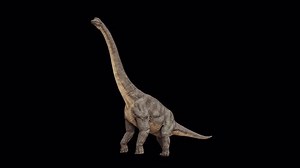 Brachiosaurus Dinosaur 3d Video Animation Transparent Stock Footage Video (100% Royalty-free) 3663563507 | Shutterstock