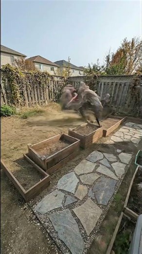 Backyard Garden Renovation Time Lapse 🇺🇸🌱 #renovation #beforeandafter #gardening #usashorts #shorts
