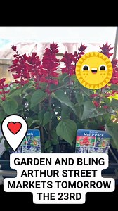 Arthur Street Country Markets on Reels