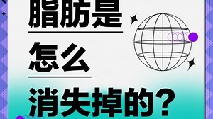 最强《生物化学》之“脂代谢”篇 | 您真的了解脂代谢吗？