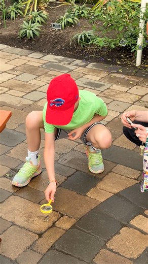 The Butterfly Experience is officially open! Step into our Tropical Orchard for an extraordinary encounter with live butterflies 🦋 The Butterfly Experience is open daily until August 3! Get your tickets and learn more at the 🔗 in our bio. Presented by @mandt_bank #FlutterbyBuffalo | Buffalo and Erie County Botanical Gardens