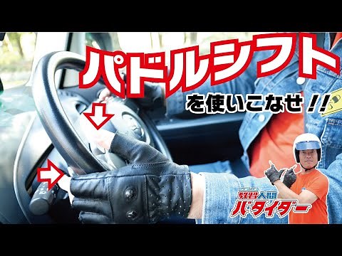 An active instructor will drive along mountain roads while explaining paddle shifting!