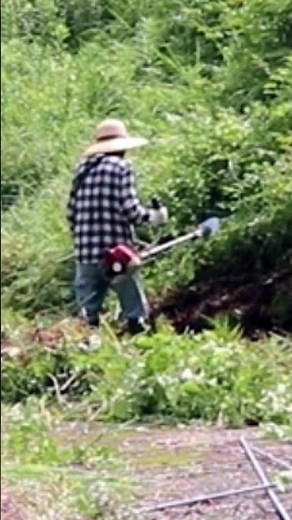【切り抜き】草刈り機作業のコツ連続リズムで効率アップ！便利屋なんでもやが教える