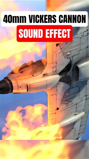 Which 40mm cannon sounds better? 🔥 #warthunder #warthundermemes #warthundermoments #acesofthunder