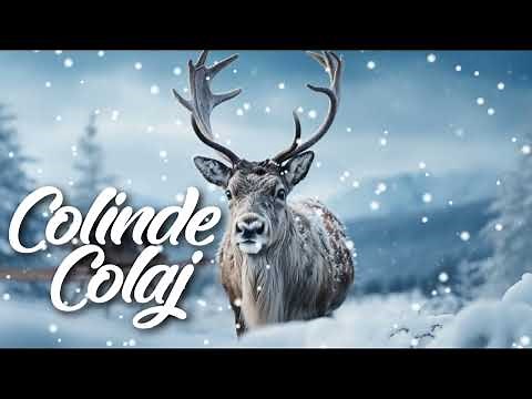 🌲 "Crăciun în Familie: Colinde 2025" 🎶