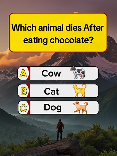 Interesting Animal Quiz: Test Your Knowledge Now