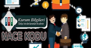 32.12.01 Nace Kodu Kodu nedir?