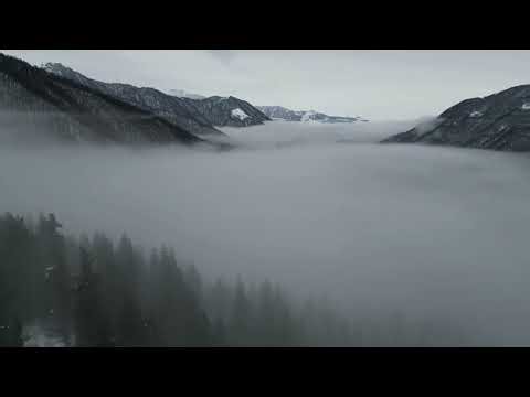 Relaxing Fog Music 10 Hours of Soothing Sounds for Stress Relief