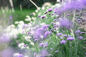 Colorful Live Wallpapers Videos, Download The BEST Free 4k Stock Video Footage & Colorful Live Wallpapers HD Video Clips