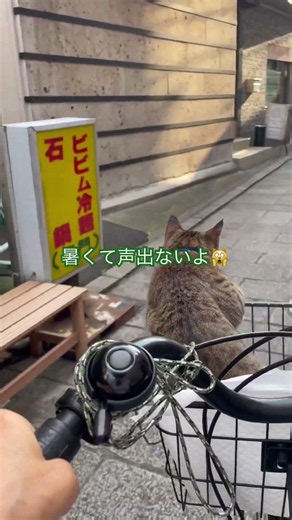 外に行く、と騒ぐ大五郎に押されて外出、最悪でした😩