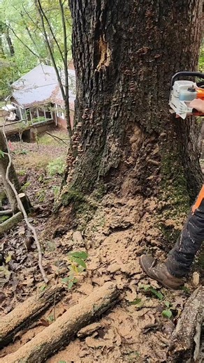 #runaway Carla L-Mullins Rood Feller | Andrew Rood