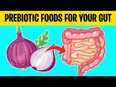 Top 12 PREBIOTIC FOODS That Improve Gut Health