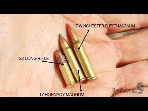 Worlds Most Powerful Rimfire -- 17 Winchester Super Magnum
