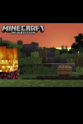 Vanilla Minecraft vs BareBones #shorts #minecraft