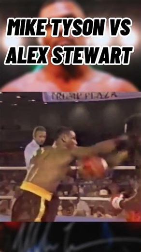 Evander Holyfield vs Alex Stewart | Brutal Heavyweight War