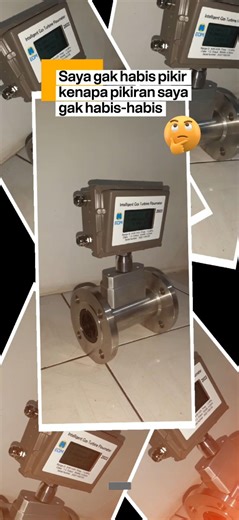 EDM Intelligent Gas Turbine flow meter Modbus #edm #edmmeters #arsybamunsejahtera #flowmeter #modbus