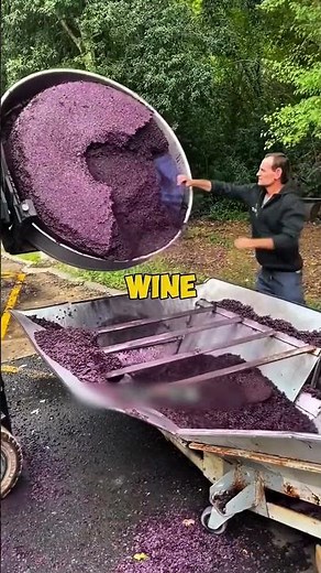 The Ancient Winemaking Method Machines Can’t Replace🤯
