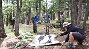 Individual Treks are an awesome way to experience Philmont! Registration for 2020 Individual Treks is open. Learn more: http://bit.ly/Phil_Indv | Philmont Scout Ranch