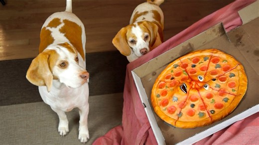 Pizza Talks Back—and These Dogs Lose It