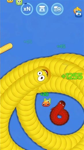 Snake trapped in critical condition and condition