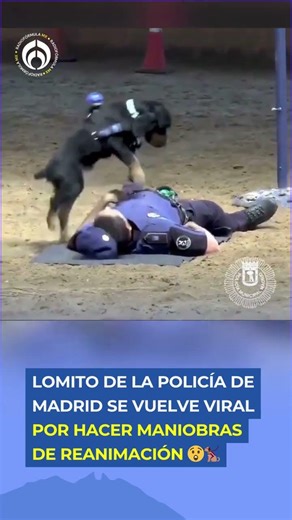 Un héroe de cuatro patas que ya es viral 🐶👏“Paco”, un perro policía hace RCP