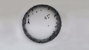 Wheel of Fortune, 2016