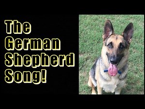 The German Shepherd Song!