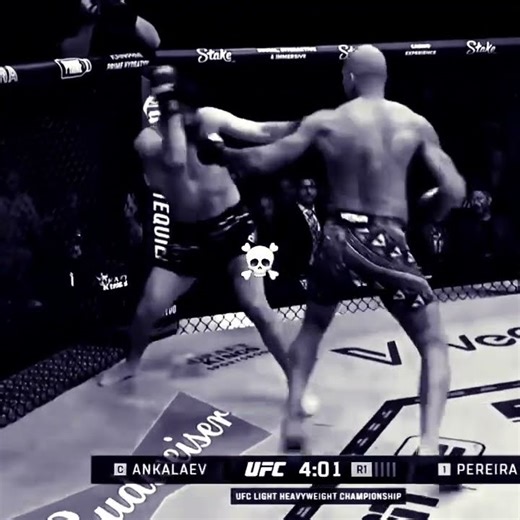 🥊 Boxing vs Wrestling | Which Fighting Style Truly Dominates? 💥