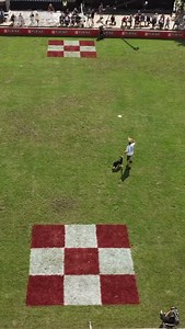 Enter the highly competitive world of elite canine sports, where trainers and their dogs chase glory and greatness on the road to the championship. Streaming on Prime Video 8/18/25. | Purina