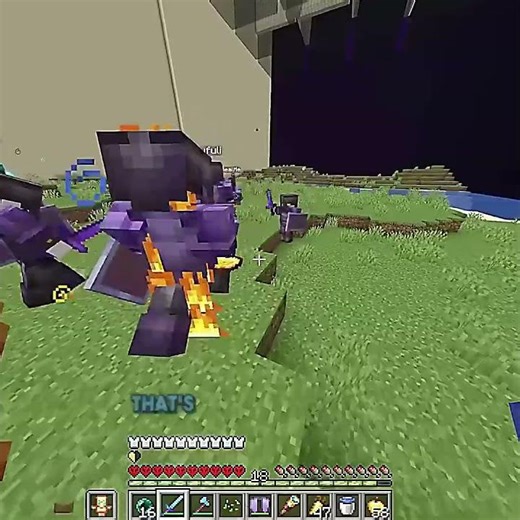 Parrots Sand Walls Trap