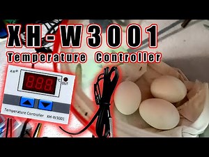 XH-W3001 Temperature Controller for DIY Egg Incubator KURYENTECH