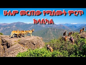 Best Ethiopia Classical Music Collection ምርጥ የክላሲካል ስብስብ