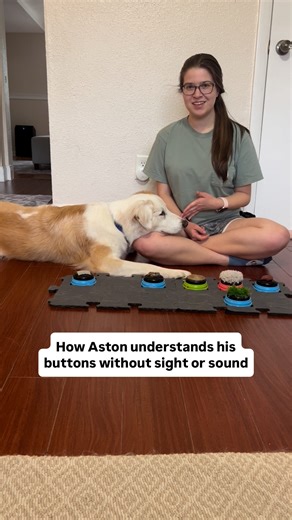 How can a deafblind dog communicate using buttons? I figured an updated explanation was long overdue. In short, Aston associates his buttons with an action or concept rather than a verbal word. He doesn’t need to hear or see to learn that I react a certain way when he presses a certain button. And he knows which button is which based on their location and unique texture/smell. Do you have any other questions I can answer? Let me know in the comments. . Video Description: Miriam sits in the floor