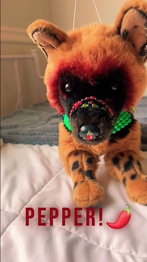 Essa & gear tour! 🥹 #dog #paw #essa #essacommunity #comfortplush #emotionalsupportstuffedanimal