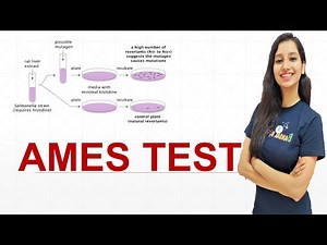 AMES TEST I Carcinogenic I Mutagenicity I CSIR NET I GATE I IITJAM I TIFR I GAT B I ICAR I ICMR I Video Lecture | IIT JAM Biotechnology Crash Course